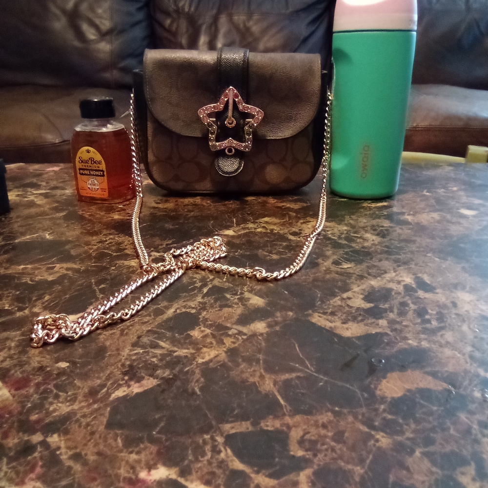 Coach Brown Crossbody Bag with Star Accent